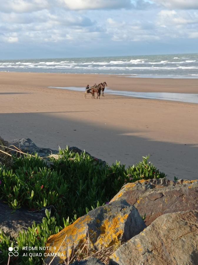 Gite La Hulotte Saint-Laurent-sur-Mer Exteriér fotografie